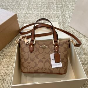 sac coach marron mini