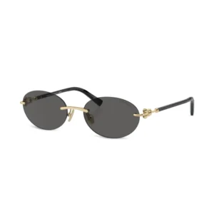 lunette tiffany & co tf3104d