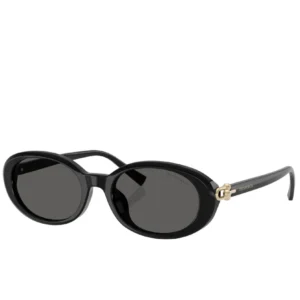 lunette tiffany and co. tf4242d
